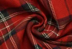 Royal Stewart Kilt outfit - Image 4